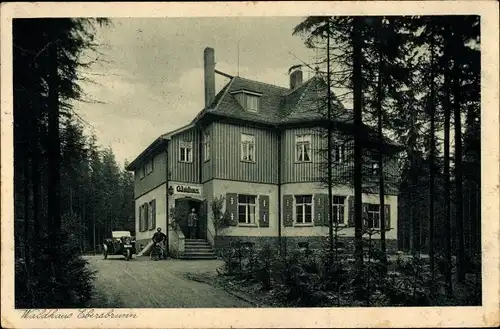 Ak Ebersbrunn Lichtentanne Sachsen, Waldhaus