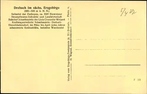 Ak Drebach Sachsen, Krokuswiese, Unterer Ortsteil