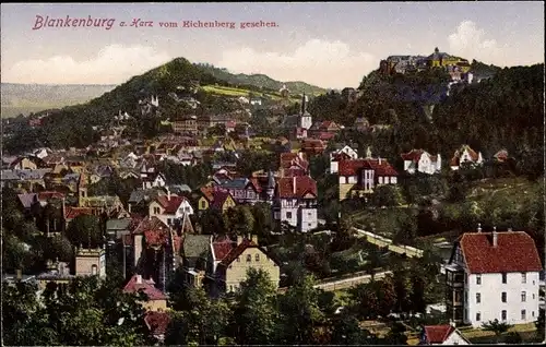 Ak Blankenburg am Harz, Panorama