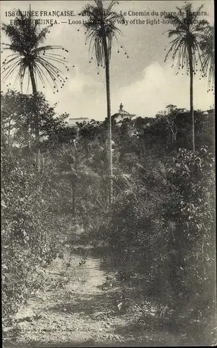 Ak Iles de Loos Guinea, Le Chemin du phare de Tamara, palmiers, maisons
