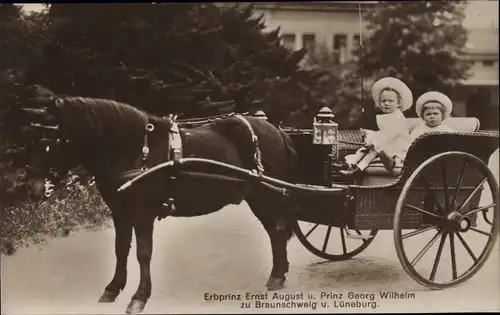 Ak Erbprinz Ernst August von Braunschweig, Prinz Georg Wilhelm, Kutsche, Pony
