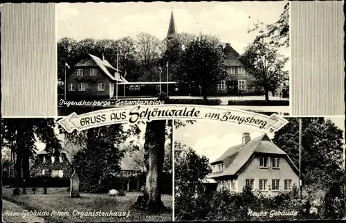 Ak Schönwalde am Bungsberg in Ostholstein, Jugendherberge, ehemaliges Organistenhaus