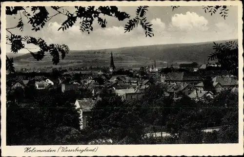 Ak Holzminden in Niedersachsen, Ortsansicht