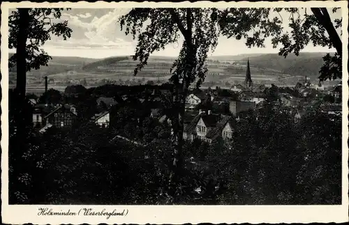 Ak Holzminden in Niedersachsen, Ortsansicht