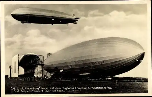 Ak LZ 129 Hindenburg landet auf dem Flughafen Löwental bei Friedrichshafen, Graf Zeppelin, LZ 127