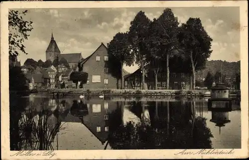 Ak Mölln im Herzogtum Lauenburg, Mühlenteich, Entenhaus