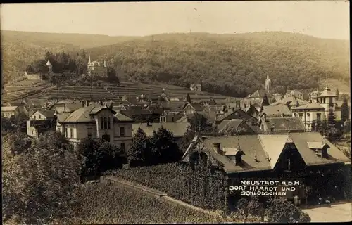 Ak Neustadt an der Weinstraße, Dorf Haardt und Schlösschen