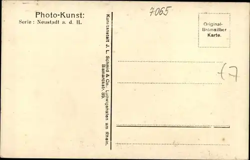 Ak Neustadt an der Weinstraße, Dorf Haardt und Schlösschen