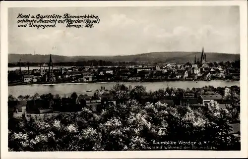 Ak Werder Bockenem in Niedersachsen, Panorama, Aussicht, Baumblüte