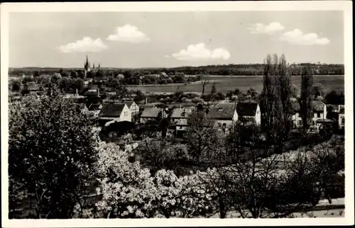 Ak Werder Bockenem in Niedersachsen, Panorama, Südspitze Insel