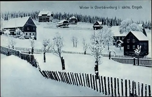 Ak Altenberg im Osterzgebirge, Winter, Panorama
