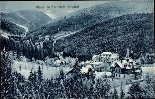 Ak Bärenfels Altenberg im Erzgebirge, Winter, Panorama