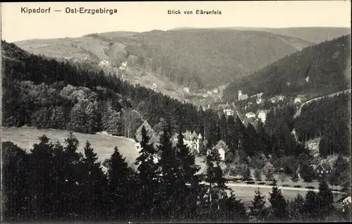 Ak Kipsdorf Altenberg im Erzgebirge, Blick vom Bärenfels, Panorama