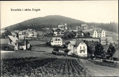 Ak Bärenfels Altenberg im Erzgebirge, Panorama, Berg, Acker