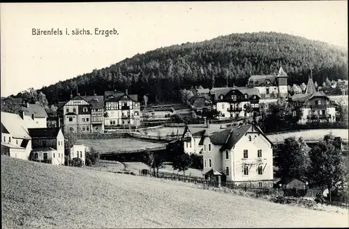 Ak Bärenfels Altenberg im Erzgebirge, Panorama vom Ort
