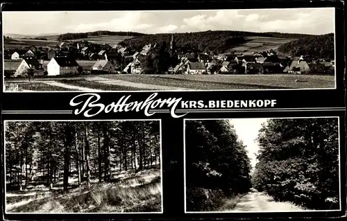 Ak Bottenhorn Bad Endbach Hessen, Gesamtansicht, Waldpartie