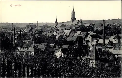 Ak Roßwein in Sachsen, Blick auf die Stadt