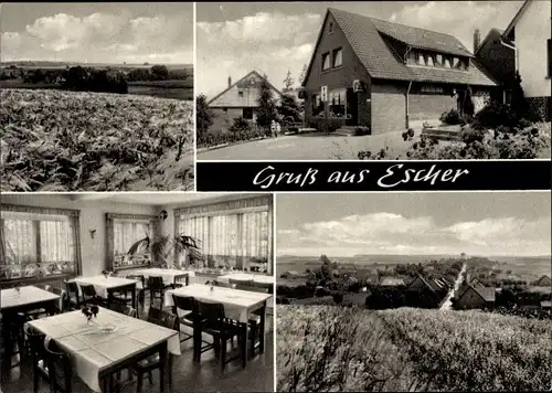 Ak Escher Auetal Niedersachsen, Gasthaus-Kaufhaus, Ort