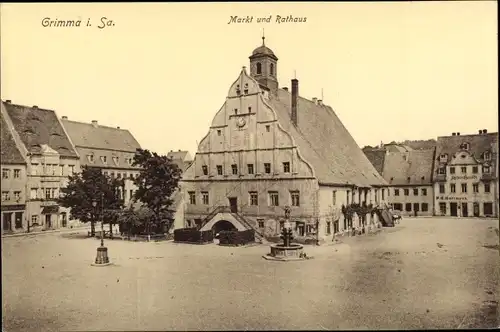 Ak Grimma in Sachsen, Markt und Rathaus
