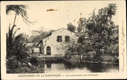 Ak Saint Pierre de la Martinique, une Plantation aux environs