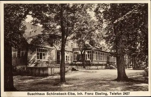 Ak Schönebeck Elbe Salzlandkreis, Buschhaus, Totalansicht, Veranda, Treppen, Bäume