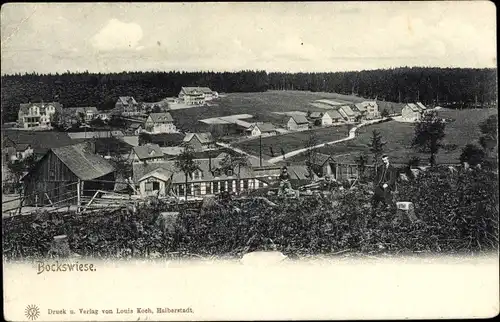 Ak Hahnenklee Bockswiese Goslar, Gesamtansicht