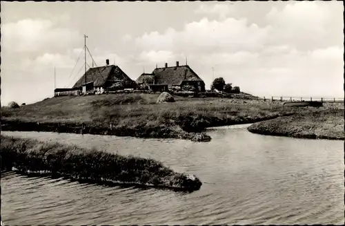 Ak Hallig Hooge in Nordfriesland, Ipkenswarf