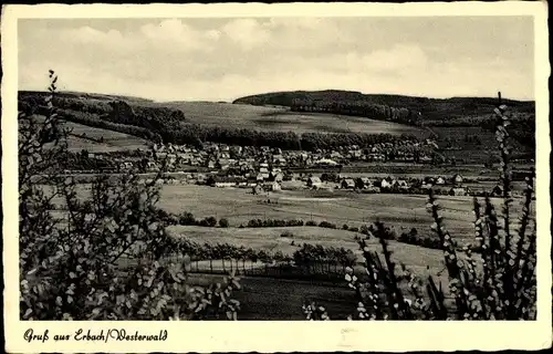 Ak Erbach im Odenwald Hessen, Panorama