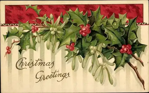 Präge Ak Frohe Weihnachten, Christmas Greetings, Stechpalmen, Mistelzweig
