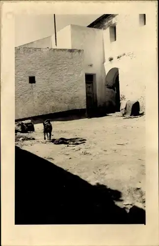 Foto Ak Aïd el-Kebir Marokko, Straßenpartie, Haus, Hund