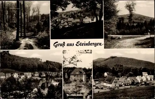 Ak Steinbergen Rinteln in Niedersachsen, Ortsblick, Waldpartie