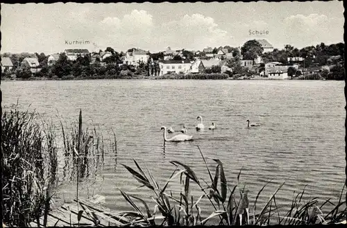 Ak Reinfeld in Schleswig Holstein, Herrenteich mit Blick auf den Ort