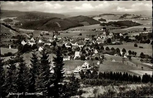 Ak Allendorf Sundern im Hochsauerlandkreis, Ortsansicht