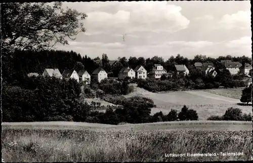 Ak Flammersfeld im Landkreis Altenkirchen Westerwald Rheinland Pfalz, Teilansicht