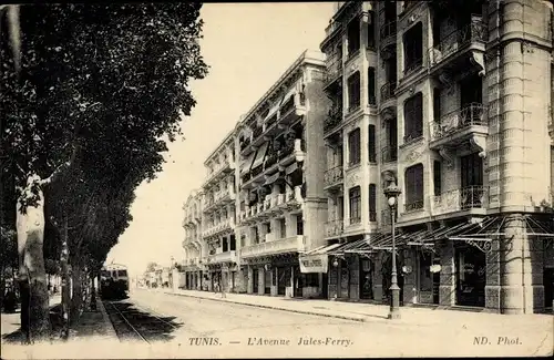 Ak Tunis Tunesien, L'Avenue Jules Ferry