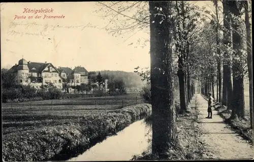 Ak Königsbrück in der Oberlausitz, Partie an der Promenade