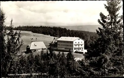 Ak Waldkirch Breisgau, Berghotel Kandel, Wald