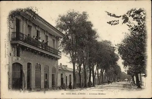 Ak Sidi bel Abbès Algerien, Avenue Kleber