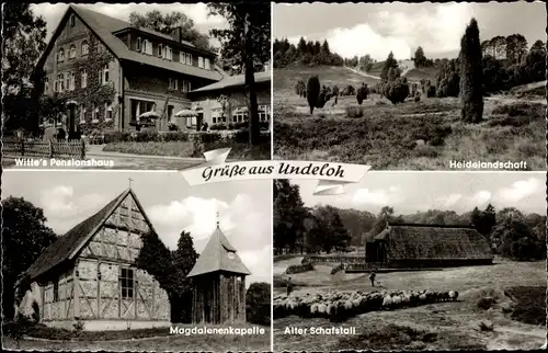 Ak Undeloh, Witte's Pension, Magdalenenkapelle, Schafstall