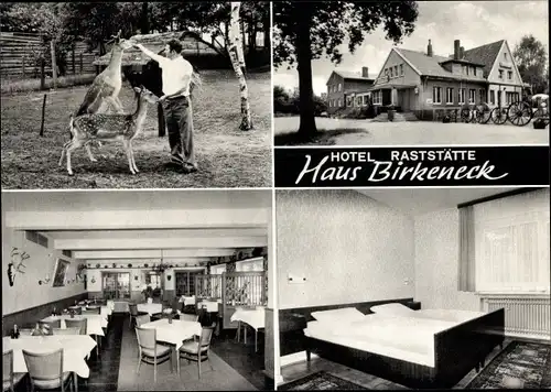 Ak Warendorf Nordrhein Westfalen, Hotel Raststätte, Rehe