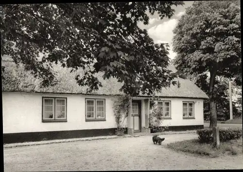 Ak Eggebek Schleswig Holstein, Wohnhaus, Hund