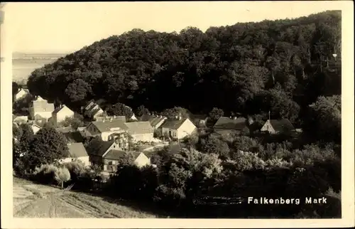 Foto Ak Falkenberg in der Mark, Teilansicht