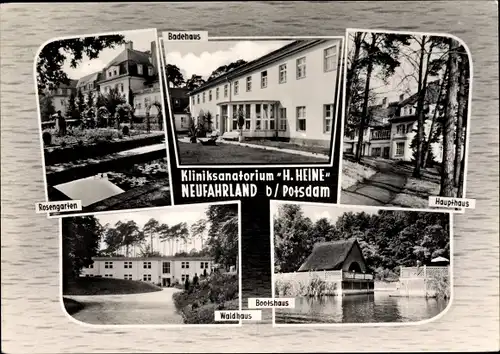 Ak Neufahrland Potsdam Brandenburg, Klinik Sanatorium H. Heine, Badehaus, Bootshaus, Waldhaus