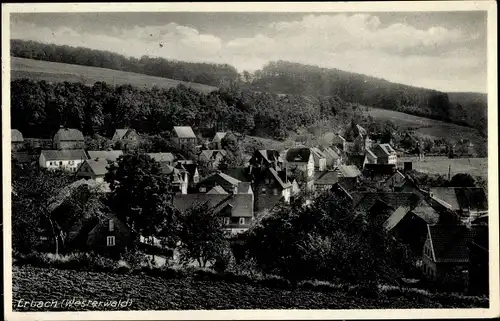 Ak Erbach Nistertal Westerwald, Panorama vom Ort