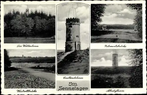 Ak Paderborn in Nordrhein Westfalen, Sennelager, Walterturm, Zitzewitzbrücke, Albedylturm