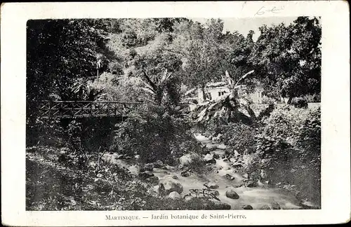 Ak Saint Pierre Martinique, Jardin botanique, Botanischer Garten