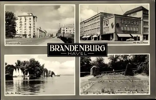 Ak Brandenburg an der Havel, Friedensstraße, HO Warenhaus, Molge, Rosengarten auf d. Marienberg