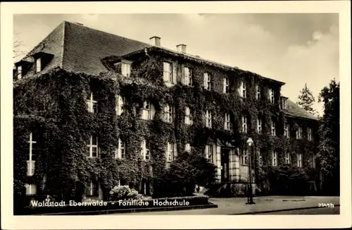 Ak Eberswalde in Brandenburg, Forstliche Hochschule