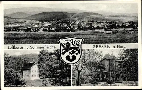 Ak Seesen am Harz, Gesamtansicht, Forsthaus Neckelnberg, Burg Schusa, Amtsgericht, Wappen