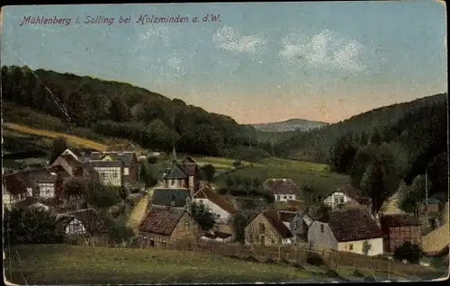 Ak Mühlenberg Holzminden in Niedersachsen, Gesamtansicht vom Ort, Wiese, Wald